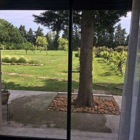 Safraniere Des Sorgues Casa de hóspedes Le Thor Exterior foto